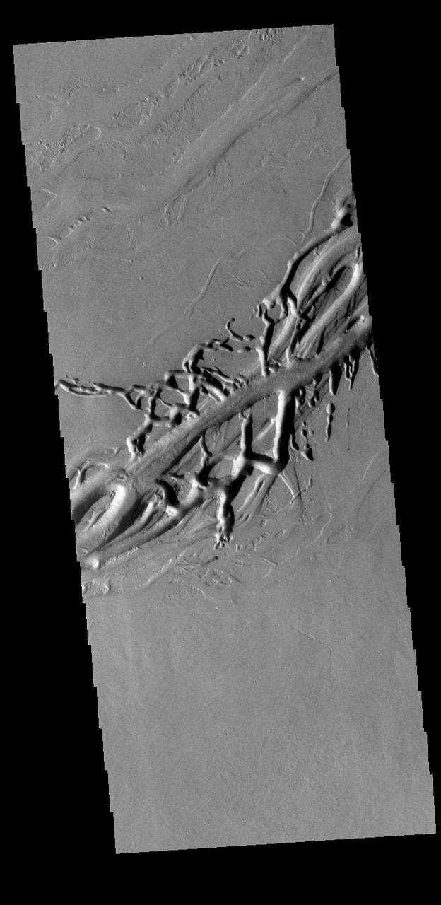 Olympica Fossae is a complex channel located on the volcanic plains between Alba Mons and Olympus Mons. The sinuosity of some of the channel sections in the the image indicates that liquid flow played a part creating these features. In this case the location and other surface features point to lava rather than water as the liquid. The interconnecting linear sections of depressions are most likely formed by the collapse of the surface into voids left by lava tubes. Orbit Number: 88152 Latitude: 24.3724 Longitude: 245.149 Instrument: VIS Captured: 2021-10-28 17:53 https://photojournal.jpl.nasa.gov/catalog/PIA25126