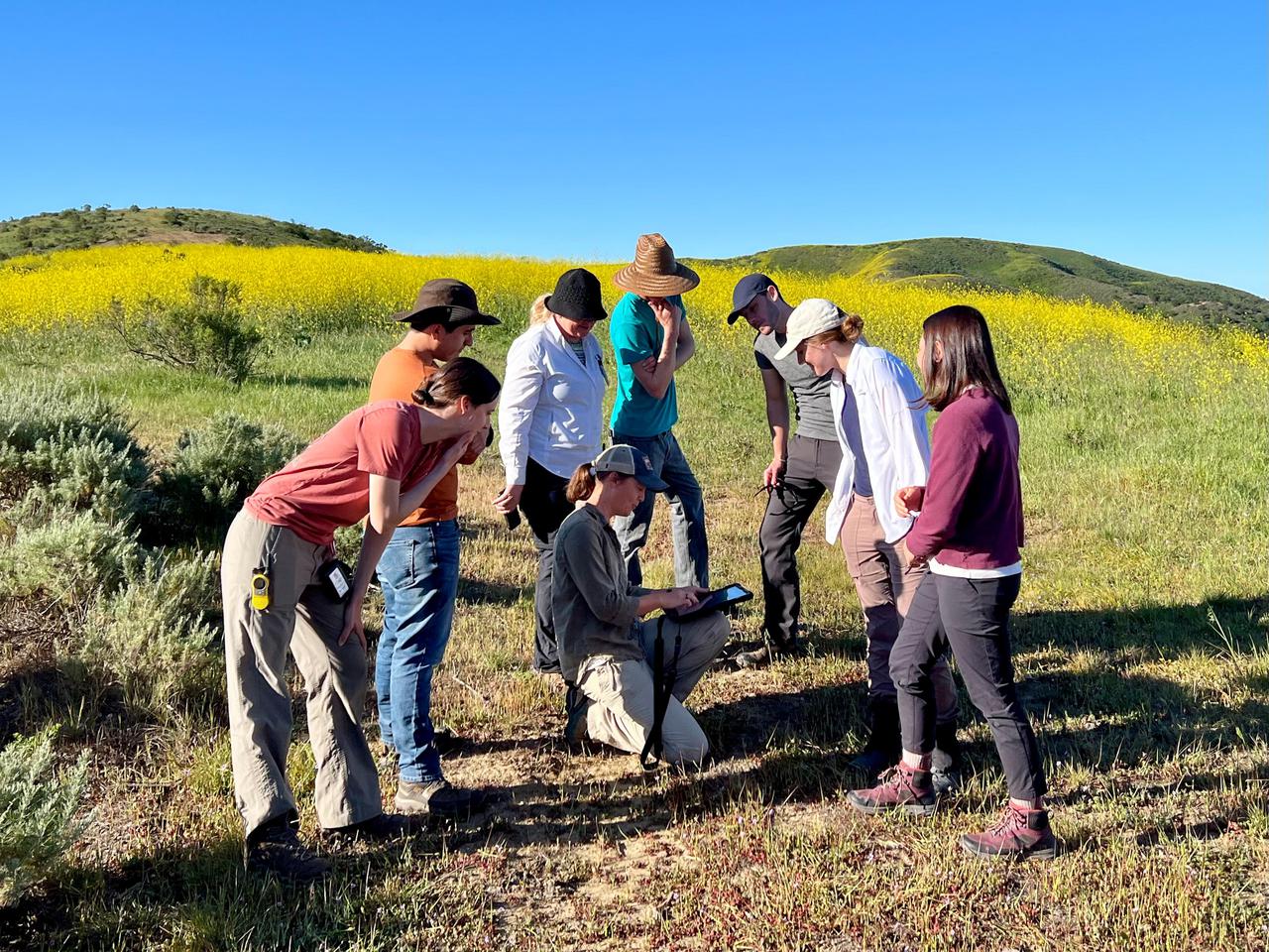 Dana Chadwick, a scientist in the water and ecosystems group at NASA's Jet Propulsion Laboratory, center, advises a field team of researchers from JPL; University of Wisconsin, Madison (UWM); University of California, Los Angeles (UCLA); University of Maryland, Baltimore County (UMBC); and University of California, Santa Barbara (UCSB) on vegetation-sampling locations at the Jack and Laura Dangermond Preserve in Santa Barbara County, California, on March 24, 2022. Chadwick and the team are working on the Surface Biology and Geology High-Frequency Time Series (SHIFT) campaign, which is jointly led by JPL, UCSB, and The Nature Conservancy.      Chadwick is surrounded by, from left: Natalie Queally, a forest and wildlife ecology graduate student at UWM; Francisco Ochoa, a geography graduate student at UCLA; Petya Campbell, a research associate professor at UMBC and a research associate at NASA's Goddard Space Flight Center; Brendan Heberlein, a research intern at UWM; Renato Braghiere, a postdoctoral research scientist at JPL; Cassandra Nickles, a postdoctoral fellow at JPL; and Clare Saiki, a doctoral student at UCSB.      Operating between late February and late May 2022, SHIFT combines the ability of airborne science instruments to gather data over widespread areas with the more concentrated observations scientists conduct in the field to study the functional characteristics, health, and resilience of plant communities. The sampling and analysis done by researchers on the ground and in the ocean is intended to validate data taken by AVIRIS-NG (Airborne Visible/Infrared Imaging Spectrometer-Next Generation). The instrument, designed at JPL, is collecting spectral data of vegetation it observes during weekly flights in an aircraft over a 640-square-mile (1,656-square-kilometer) study area in Santa Barbara County and coastal Pacific waters.      The campaign is a pathfinder for NASA's proposed Surface Biology and Geology (SBG) mission. SHIFT will help scientists design data collection and processing algorithms for that mission, which would launch no earlier than 2028. The SHIFT data is also intended to support the research and conservation objectives of The Nature Conservancy, which owns the Dangermond Preserve, and UCSB, which operates the Sedgwick Reserve, another nature preserve within the study area. More than 60 scientists from institutions around the U.S. have indicated they intend to use the SHIFT data in their research.  https://photojournal.jpl.nasa.gov/catalog/PIA25141