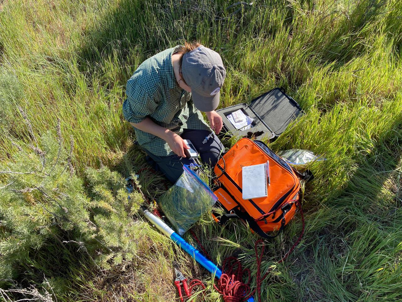University of California, Santa Barbara (UCSB) student Piper Lovegreen calibrates a sensor to measure leaf chlorophyl content of vegetation at the Jack and Laura Dangermond Preserve in Santa Barbara County on March 23, 2022. Lovegreen is among the researchers working on the Surface Biology and Geology High-Frequency Time Series (SHIFT) campaign, which is jointly led by NASA's Jet Propulsion Laboratory, UCSB, and The Nature Conservancy.      Operating between late February and late May 2022, SHIFT combines the ability of airborne science instruments to gather data over widespread areas with the more concentrated observations scientists conduct in the field to study the functional characteristics, health, and resilience of plant communities. The sampling and analysis done by researchers on the ground and in the ocean is intended to validate data taken by AVIRIS-NG (Airborne Visible/Infrared Imaging Spectrometer-Next Generation). The instrument, designed at JPL, is collecting spectral data of vegetation it observes during weekly flights in an aircraft over a 640-square-mile (1,656-square-kilometer) study area in Santa Barbara County and coastal Pacific waters.      The campaign is a pathfinder for NASA's proposed Surface Biology and Geology (SBG) mission. SHIFT will help scientists design data collection and processing algorithms for that mission, which would launch no earlier than 2028. The SHIFT data is also intended to support the research and conservation objectives of The Nature Conservancy, which owns the Dangermond Preserve, and UCSB, which operates the Sedgwick Reserve, another nature preserve within the study area. More than 60 scientists from institutions around the U.S. have indicated they intend to use the SHIFT data in their research.  https://photojournal.jpl.nasa.gov/catalog/PIA25142
