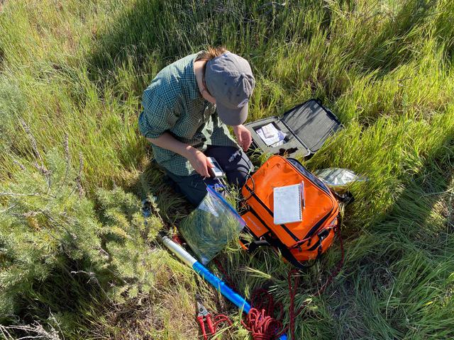 NASA image: SHIFT Researcher Analyzes Field Samples at Dangermond Preserve
