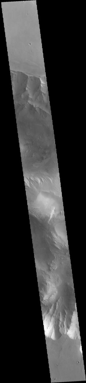 Today's VIS image shows part of eastern Candor Chasma. Candor Chasma is one of the largest canyons that make up Valles Marineris. It is approximately 810 km long (503 miles) and has is divided into two regions - eastern and western Candor. Candor is located south of Ophir Chasma and north of Melas Chasma. The border with Melas Chasma contains many large landslide deposits. The floor of Candor Chasma includes a variety of landforms, including layered deposits, dunes, landslide deposits and steep sided cliffs and mesas. Many forms of erosion have shaped Candor Chasma. There is evidence of wind and water erosion, as well as significant gravity driven mass wasting (landslides).  Orbit Number: 88163 Latitude: -7.04697 Longitude: 292.058 Instrument: VIS Captured: 2021-10-29 15:27  https://photojournal.jpl.nasa.gov/catalog/PIA25152