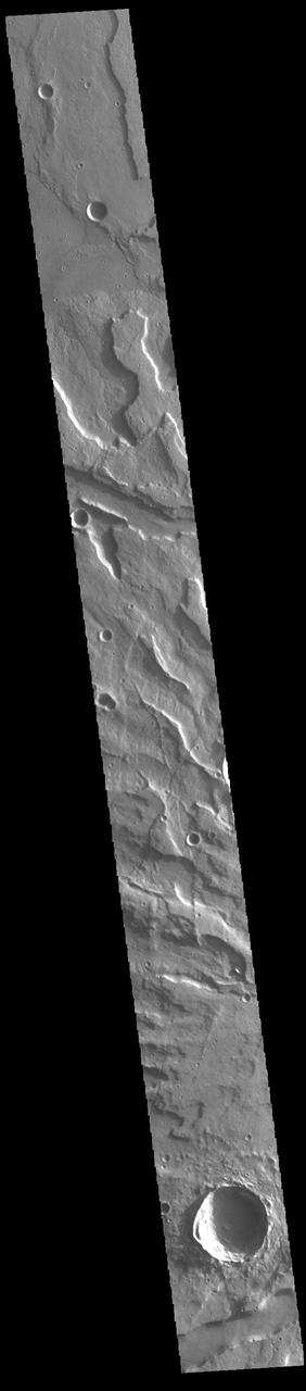 Today's VIS image crosses part of the flank of Tyrrhenus Mons. Tyrrhenus Mons is one of the oldest martian volcanoes. Unlike most of the other Martian volcanoes, it is made of layers that include softer volcanic ash rather than just basaltic flows. This difference is evident in how the volcano is being eroded, creating broad intersecting sinuous channels.  On Earth basaltic flows form broad shield volcanoes like Hawaii. Shield volcanoes can erupt from the central crater, as well as along the flanks. Volcanoes with ash layers, called composite volcanoes, form steeper sides like Mt Rainier and Mt Fuji, with material erupting only from the central caldera. Tyrrhenus Mons more closely resembles composite volcanoes.  Orbit Number: 88182 Latitude: -20.6084 Longitude: 105.788 Instrument: VIS Captured: 2021-10-31 04:55  https://photojournal.jpl.nasa.gov/catalog/PIA25159