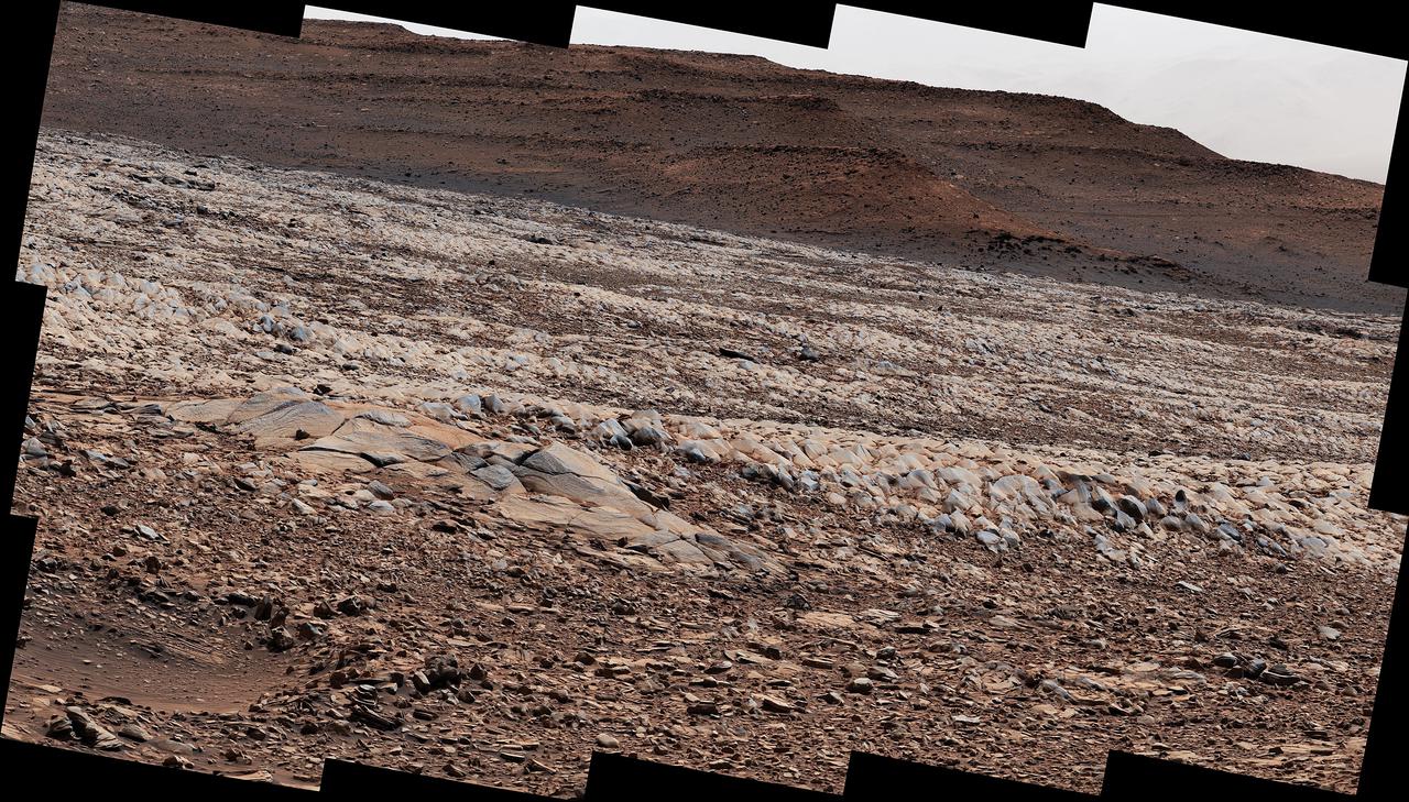 NASA's Curiosity Mars rover used its Mast Camera, or Mastcam, to survey these wind-sharpened rocks, called ventifacts, on March 15, 2022, the 3,415th Martian day, or sol, of the mission. The team has informally described these patches of ventifacts as "gator-back" rocks because of their scaly appearance.  Ventifacts chewed up Curiosity's wheels earlier in the mission. Since then, rover engineers have found ways to slow wheel wear, including a traction control algorithm. They also plan rover routes that avoid driving over such rocks, including these latest ventifacts, which are made of sandstone &ndsh; the hardest type of rock Curiosity has encountered on Mars.  These rocks form the surface of the "Greenheugh Pediment," a broad, sloping plain in the foothills of Mount Sharp. The floor of Gale Crater is visible along the edges of the mosaic. When Curiosity's team saw the gator-back rocks, they ultimately decided to turn the rover around and take an alternative path to continue climbing Mount Sharp, a 3.4-mile-tall (5.5-kilometer-tall) mountain that Curiosity has been ascending since 2014. As it climbs, Curiosity is able to study different sedimentary layers shaped by water billions of years ago. These layers help scientists understand whether microscopic life could have survived in the ancient Martian environment.  https://photojournal.jpl.nasa.gov/catalog/PIA25175