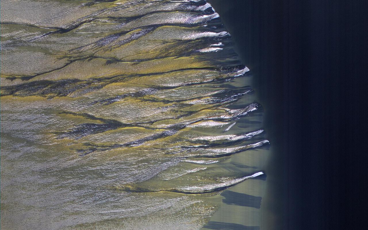The dark sand dune at the center of this observation is covered in a blanket of white seasonal ice in the winter. In this Martian springtime image, the western slope of the dune is partly defrosted. Bright patches of frost (white in enhanced color) are clearly visible and are made up of water and carbon dioxide ices. Dark streaks of sand have flowed down the dune's slope that sometimes covers the frost. These flows are caused by the rapid transformation of the frost from ice to gas as the sun heats the dune in the spring. We can also see how these flows are diverted by the ripples on the dune. (The width of the cutout is around 520 meters.) https://photojournal.jpl.nasa.gov/catalog/PIA25188