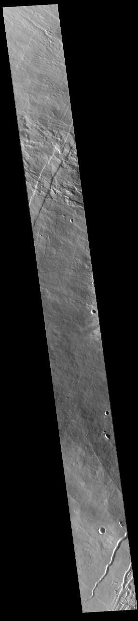 This VIS image shows part of the northwestern flank of Pavonis Mons. Pavonis Mons is the central volcano of the three large Tharsis volcanoes. All three volcanoes form a line located along a tectonic bulge caused by extensional forces in the region. Pavonis Mons is the smallest of the three with a summit of only 14km (46,000 ft). The linear features in the image are concentric faults. Pavonis means peacock in Latin, making the name peacock mountain.  Orbit Number: 88202 Latitude: 0.534605 Longitude: 245.963 Instrument: VIS Captured: 2021-11-01 20:33  https://photojournal.jpl.nasa.gov/catalog/PIA25193