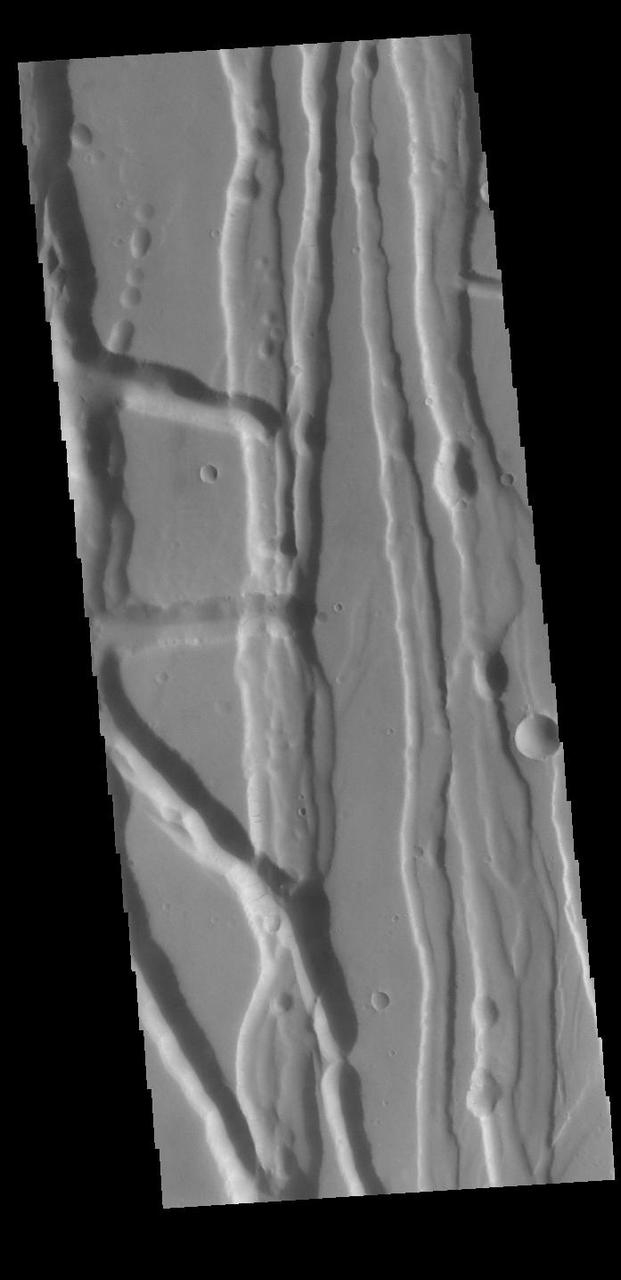 This VIS image shows part of Tractus Fossae, a region of north/south trending tectonic graben located south of Alba Mons. Graben are formed by extension of the crust and faulting. When large amounts of pressure or tension are applied to rocks on timescales that are fast enough that the rock cannot respond by deforming, the rock breaks along faults. In the case of a graben, two parallel faults are formed by extension of the crust and the rock in between the faults drops downward into the space created by the extension. Numerous sets of graben are visible in this THEMIS image, trending north/south. Because the faults defining the graben are formed parallel to the direction of the applied stress, we know that extensional forces were pulling the crust apart in the east/west direction. The large number of graben around Alba Mons is generally believed to be the result of extensional forces associated with the uplift of the volcano. Orbit Number: 87590 Latitude: 25.9931 Longitude: 258.163 Instrument: VIS Captured: 2021-09-12 11:18 https://photojournal.jpl.nasa.gov/catalog/PIA25226