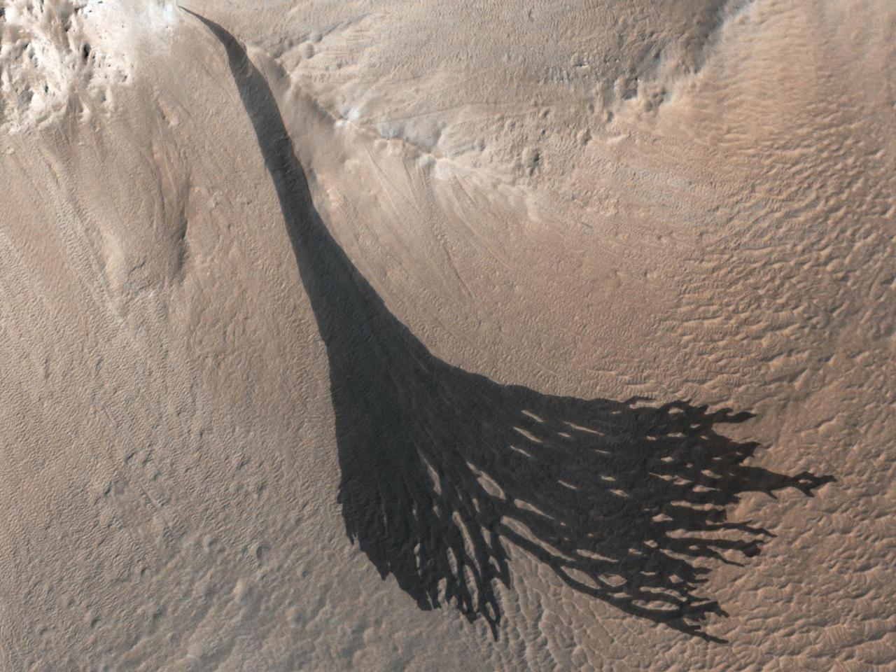 These dark streaks, also known as "slope streaks," on Mars resulted from dust avalanches. They were captured by NASA's Mars Reconnaissance Orbiter using its High-Resolution Imaging Science Experiment (HiRISE) camera on Dec. 26, 2017.  https://photojournal.jpl.nasa.gov/catalog/PIA25235