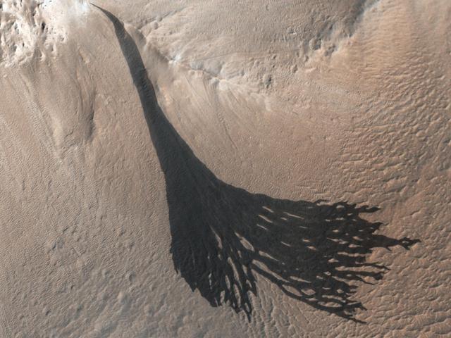 NASA image: HiRISE Spots Slope Streaks Fanning Out on Mars