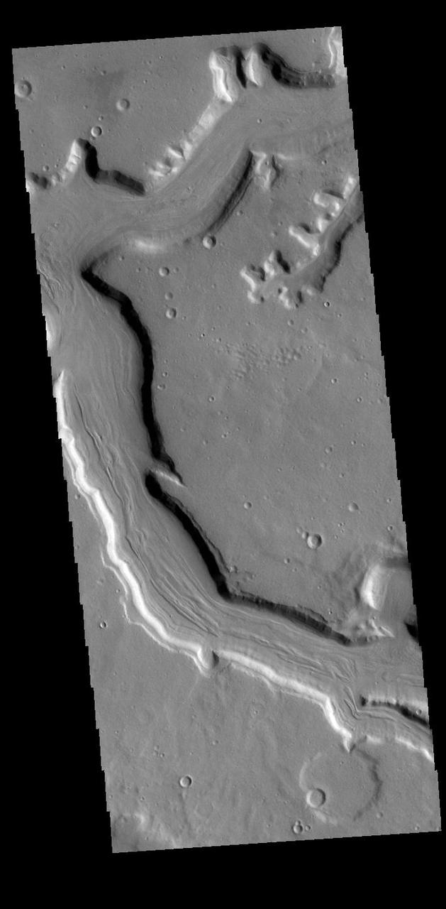 Today's VIS image shows a section of Mamers Valles. The channel is nearly 1000 km long (600 miles). Mamers Valles originates near Cerulli Crater in northern Arabia Terra, and after a short section near the crater where flow is to the south, flows northward to empty in Deuteronilus Mensae. The steep walls of Mamers Valles can reach heights of 1200 m (4000 feet). Orbit Number: 87773 Latitude: 32.4612 Longitude: 17.9185 Instrument: VIS Captured: 2021-09-27 12:58 https://photojournal.jpl.nasa.gov/catalog/PIA25270
