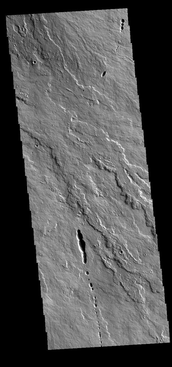 Today's VIS image shows a small portion of the immense lava flows that originated from Arsia Mons. Arsia Mons is the southernmost of the three large aligned volcanoes in the Tharsis region. Arsia Mons' last eruption was 10s of million years ago. The different surface textures are created by differences in the lava viscosity and cooling rates. The lobate margins of each flow can be traced back to the start of each flow — or to the point where they are covered by younger flows. Flows in Daedalia Planum can be as long as 180 km (111 miles). For comparison the longest Hawaiian lava flow is only 51 km (˜31 miles) long. The total area of Daedalia Planum is 2.9 million square km – more than four times the size of Texas. Orbit Number: 87778 Latitude: -14.0489 Longitude: 240.029 Instrument: VIS Captured: 2021-09-27 22:36 https://photojournal.jpl.nasa.gov/catalog/PIA25291