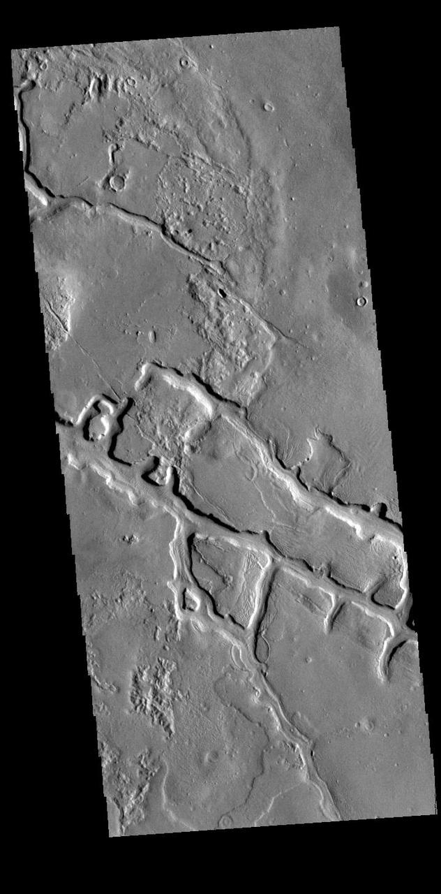 Today's VIS image shows part of the lowland plains north of the Elysium volcanic complex. Right angles are almost always created by tectonic forces. These linear depressions and the right angle intersections most likely were created in response to the volcanic activity that resulted in the uplifted surface and volcanoes of Elysium.  Orbit Number: 88717 Latitude: 37.1901 Longitude: 143.037 Instrument: VIS Captured: 2021-12-14 06:30  https://photojournal.jpl.nasa.gov/catalog/PIA25298