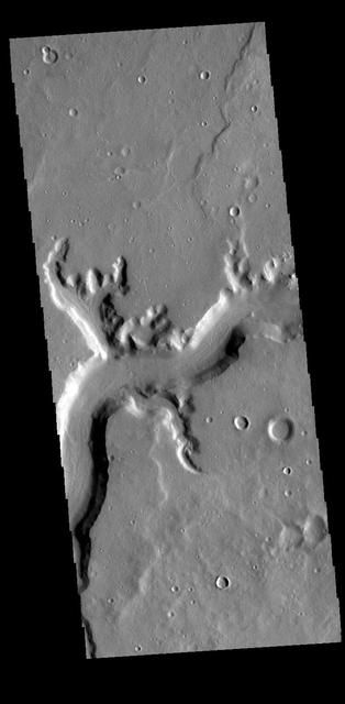 NASA image: Mamers Valles