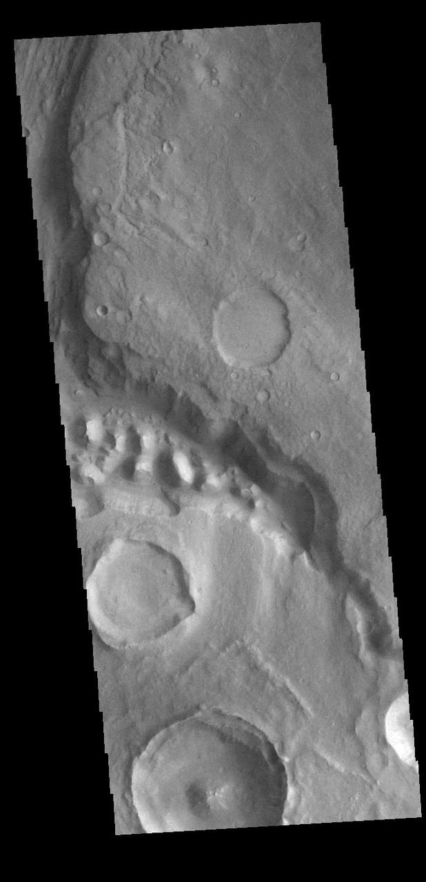 Today's VIS image shows part of Maja Valles, a large channel system in Lunae Planum. The main part of the channel is visible at the upper left in this image. The lower part of the image is located within an old crater called Stege Crater. The channel in the central part of the image is flowing along the inner rim of the crater and into the main Maja Valles channel just off the image to the left. Maja Valles in 1600 km (1000 miles) long. Like most outflow channels in the region, Maja Valles arises from Valles Marineris and drains into Chryse Planitia. Maja Valles starts in Juventae Chasma. Orbit Number: 89111 Latitude: 4.27445 Longitude: 300.886 Instrument: VIS Captured: 2022-01-15 16:56 https://photojournal.jpl.nasa.gov/catalog/PIA25347