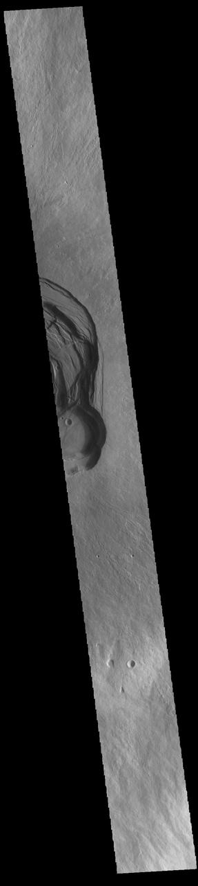 This VIS image shows part of the complex caldera at the summit of Ascraeus Mons. Ascraeus Mons is the northernmost and tallest of the three large aligned Tharsis volcanoes. Calderas are found at the tops of volcanoes and are the source region for magma that rises from an underground lava source to erupt at the surface. Volcanoes are formed by repeated flows from the central caldera. The final eruptions can pool within the summit caldera, leaving a flat surface as they cool. Calderas are also a location of collapse, creating rings of tectonic faults that form the caldera rim. Ascraeus Mons has several caldera features at its summit. Ascraeus Mons is 18 km (11 miles) tall, for comparison Mauna Kea – the tallest volcano on Earth – is 10 km tall (6.2 miles, measured from the base below sea level).  Orbit Number: 89125 Latitude: 11.0029 Longitude: 256.08 Instrument: VIS Captured: 2022-01-16 20:38  https://photojournal.jpl.nasa.gov/catalog/PIA25349