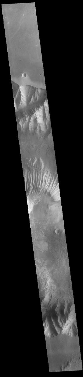 Today's VIS image shows a cross section of eastern Candor Chasma. In the center of this image is a large hill. The sides of the hill are deeply incised by erosion, probably including both wind and water processes. Candor Chasma is one of the largest canyons that make up Valles Marineris. It is approximately 810 km long (503 miles) and has is divided into two regions – eastern and western Candor. Candor is located south of Ophir Chasma and north of Melas Chasma. The border with Melas Chasma contains many large landslide deposits. The floor of Candor Chasma includes a variety of landforms, including layered deposits, dunes, landslide deposits and steep sided cliffs and mesas. Many forms of erosion have shaped Candor Chasma. There is evidence of wind and water erosion, as well as significant gravity driven mass wasting (landslides).  Orbit Number: 89548 Latitude: -7.8126 Longitude: 294.967 Instrument: VIS Captured: 2022-02-20 16:28  https://photojournal.jpl.nasa.gov/catalog/PIA25379