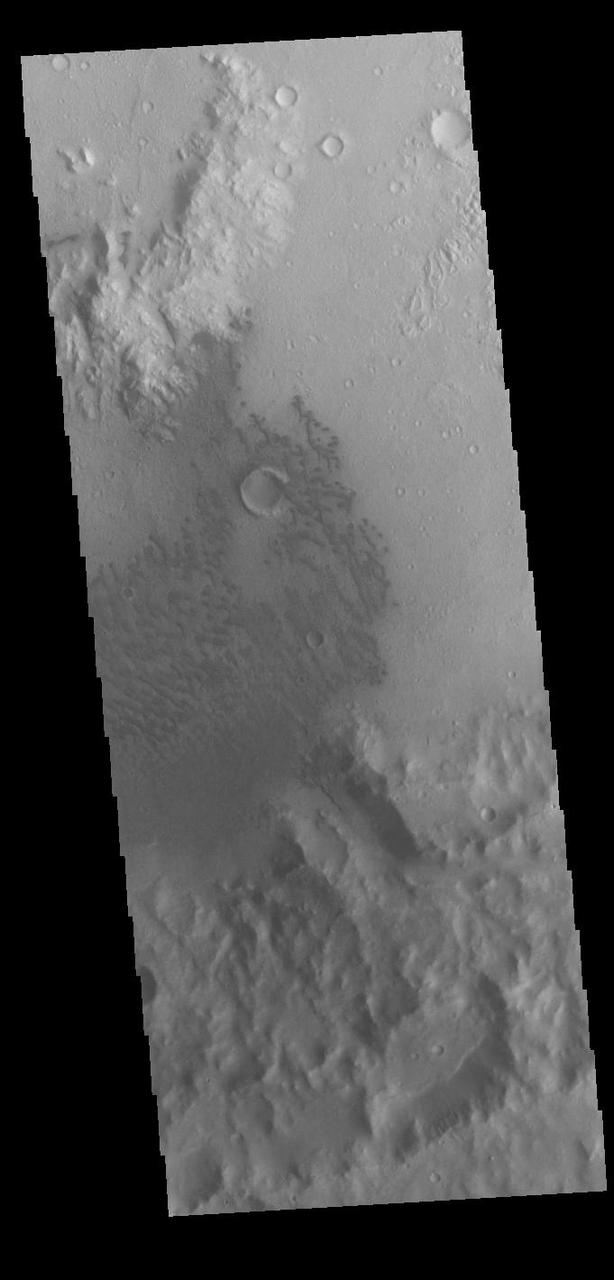 Today's VIS image shows a field of sand dunes on the floor of an unnamed crater in Terra Cimmeria.  Orbit Number: 89604 Latitude: -7.58904 Longitude: 119.349 Instrument: VIS Captured: 2022-02-25 07:08  https://photojournal.jpl.nasa.gov/catalog/PIA25401