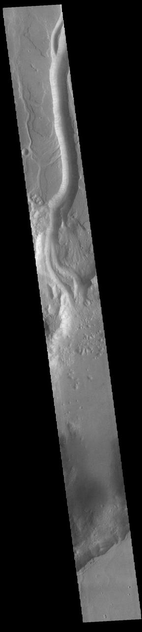 Today's VIS image shows a portion of Shalbatana Vallis. Located in Xanthe Terra, Shalbatana Vallis is an outflow channel carved by massive floods of escaping groundwater whose source lies far to the south of this image. Shalbatana Vallis is over 1300 km long (808 miles). This channel, and all others in this region, drain into Chryse Planitia. Orbit Number: 89622 Latitude: 8.24518 Longitude: 317.972 Instrument: VIS Captured: 2022-02-26 18:47 https://photojournal.jpl.nasa.gov/catalog/PIA25405