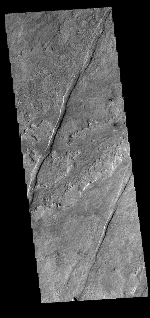 Today's VIS image shows a small portion of the immense lava flows that originated from Arsia Mons. Arsia Mons is the southernmost of the three large aligned volcanoes in the Tharsis region. Arsia Mons' last eruption was 10s of million years ago. The different surface textures are created by differences in the lava viscosity and cooling rates. The lobate margins of each flow can be traced back to the start of each flow — or to the point where they are covered by younger flows. Flows in Daedalia Planum can be as long as 180 km (111 miles). For comparison the longest Hawaiian lava flow is only 51 km (˜31 miles) long. The total area of Daedalia Planum is 2.9 million square km – more than four times the size of Texas. Orbit Number: 89625 Latitude: -23.7327 Longitude: 235.755 Instrument: VIS Captured: 2022-02-27 00:33 https://photojournal.jpl.nasa.gov/catalog/PIA25452