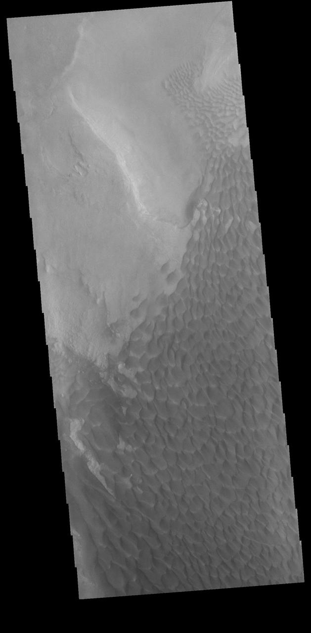 Today's VIS image shows part of the floor of Rabe Crater. Located in Noachis Terra, Rabe Crater is 108 km (67 miles) across. Sand dunes cover the half of this image of Rabe Crater. As the dunes are created by wind action the forms of the dunes record the wind direction. Dunes will have a long low angle component and a short high angle side. The steep side is called the slip face. The wind blows up the long side of the dune. In this VIS image the slip faces are illuminated less than the longer side. In this part of the crater the winds were generally moving from the lower right corner of the image towards the upper left. Craters of similar size as Rabe Crater often have flat floors. Rabe Crater has some areas of flat floor, but also has a large complex pit occupying a substantial part of the floor. The interior fill of the crater is thought to be layered sediments created by wind and or water action. The pit is eroded into this material. The eroded materials appear to have stayed within the crater forming a large sand sheet with surface dune forms as well as individual dunes where the crater floor is visible. Several other craters in this region have complex floors with pits. Orbit Number: 89682 Latitude: -43.5957 Longitude: 34.446 Instrument: VIS Captured: 2022-03-03 17:05 https://photojournal.jpl.nasa.gov/catalog/PIA25458