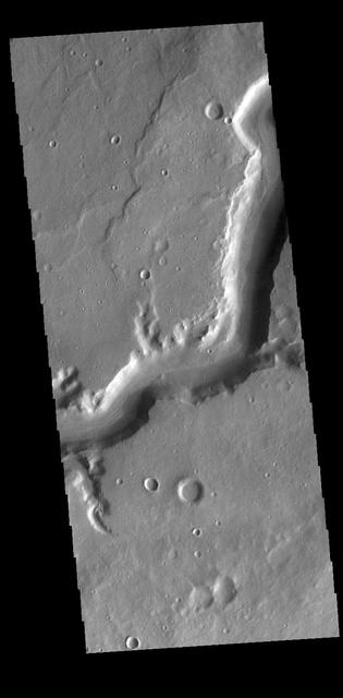 NASA image: Mamers Valles