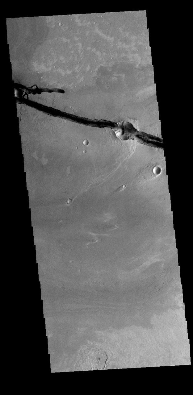 Today's VIS image shows a section of Cerberus Fossae. Located southeast of the Elysium Planitia volcanic complex, the linear graben near the top of the image was created by tectonic forces related to the volcanic activity. The graben are sources of both channels and significant volcanic flows. Cerberus Fossae cuts across features such as hills, indicating the relative youth of the tectonic activity. Graben form where extensional tectonic forces allows blocks of material to subside between paired faults. Orbit Number: 89952 Latitude: 10.0355 Longitude: 157.294 Instrument: VIS Captured: 2022-03-25 22:57 https://photojournal.jpl.nasa.gov/catalog/PIA25465