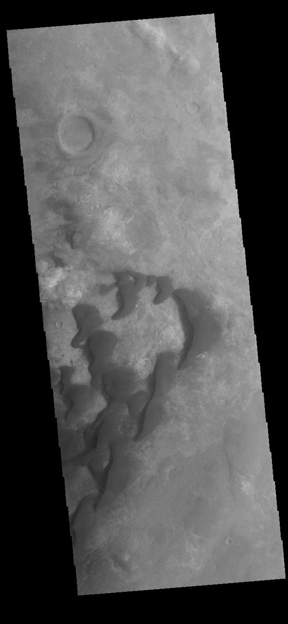 This VIS image is located in Kaiser Crater and shows many individual dunes. The crater floor is visible between the dunes, indicating that there is a limited sand supply creating the dunes. Local winds continue to move the sand dunes across the crater floor. There are two sides to a dune, the low angle slope of the windward face and the high angle slope of the leeward side. The steep side is called the slip face. Wind blows sand grains up the low angle slope of the dunes which then "fall down" the slip face. In this way the whole dune moves towards the slip face. The winds blow from the windward to the leeward side of the dunes. In this image the slip faces are on the left side of the dune, so the dunes are slowly moving to the left side of this image. Kaiser Crater is located in Noachis Terra.  Orbit Number: 89982 Latitude: -46.6859 Longitude: 20.0452 Instrument: VIS Captured: 2022-03-28 09:55  https://photojournal.jpl.nasa.gov/catalog/PIA25467