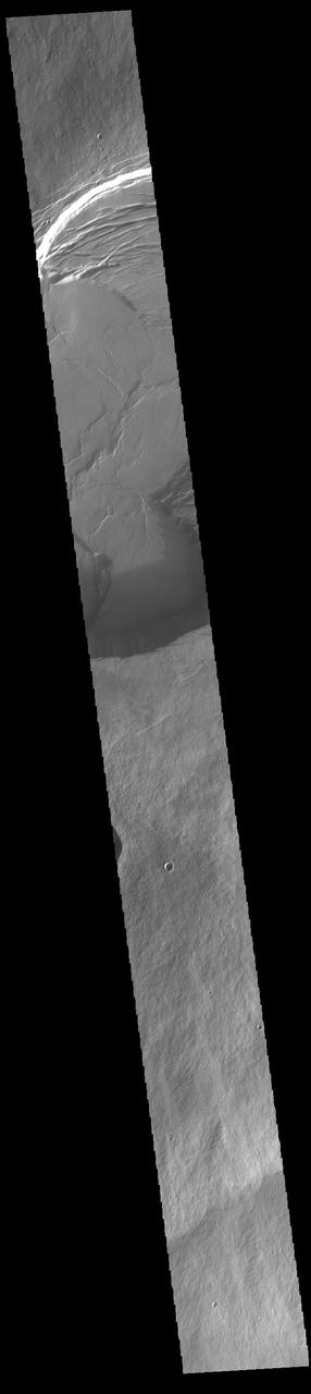 Today's VIS image shows the upper elevations of Olympus Mons, including part of the summit caldera. Scarps and extensional features (graben) record multiple stages of caldera collapse at the summit of Olympus Mons. Olympus Mons is the largest volcano in the solar system, reaching heights over 40 km (25 miles) tall from base to summit, with the base covering an area as large as the state of Arizona. For comparison, Mauna Loa is 9 km (5.5 miles) tall measured from its base on the sea floor.  Orbit Number: 90561 Latitude: 17.6564 Longitude: 226.782 Instrument: VIS Captured: 2022-05-15 02:28  https://photojournal.jpl.nasa.gov/catalog/PIA25476