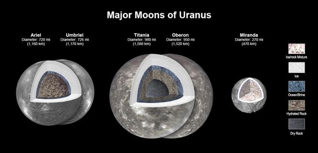       New modeling shows that there likely is an ocean layer in four of Uranus' major moons: Ariel, Umbriel, Titania, and Oberon. Salty – or briny – oceans lie under the ice and atop layers of water-rich rock and dry rock. Miranda is too small to retain enough heat for an ocean layer. The modeling, detailed in a paper published in the Journal of Geophysical Research, was informed by a re-analysis of data from NASA's Voyager spacecraft.      Scientists have long thought that Titania, given its size, would be most likely to retain internal heat, caused by radioactive decay. The other moons had been widely considered too small to retain the heat necessary to keep an internal ocean from freezing, especially as heating created by the gravitational pull of Uranus is only a minor source of heat.  https://photojournal.jpl.nasa.gov/catalog/PIA25500