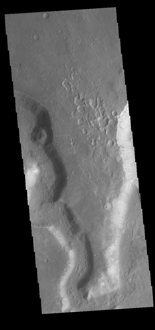 Today's VIS image shows a small section of Nirgal Valles (left side of image) just where it flows into the larger Uzboi Vallis (right side of image). Located in Noachis Terra, Nirgal Valles is 610km long (379 miles), and arises in Noachis Terra. Uzboi Vallis is 353 km long (219 miles) and arises just north of Argyre Planitia and flows northward into Holden Crater. While shorter than Nirgal Valles, Uzboi Vallis is much wider. Orbit Number: 90795 Latitude: -29.5713 Longitude: 322.31 Instrument: VIS Captured: 2022-06-03 08:38 https://photojournal.jpl.nasa.gov/catalog/PIA25507