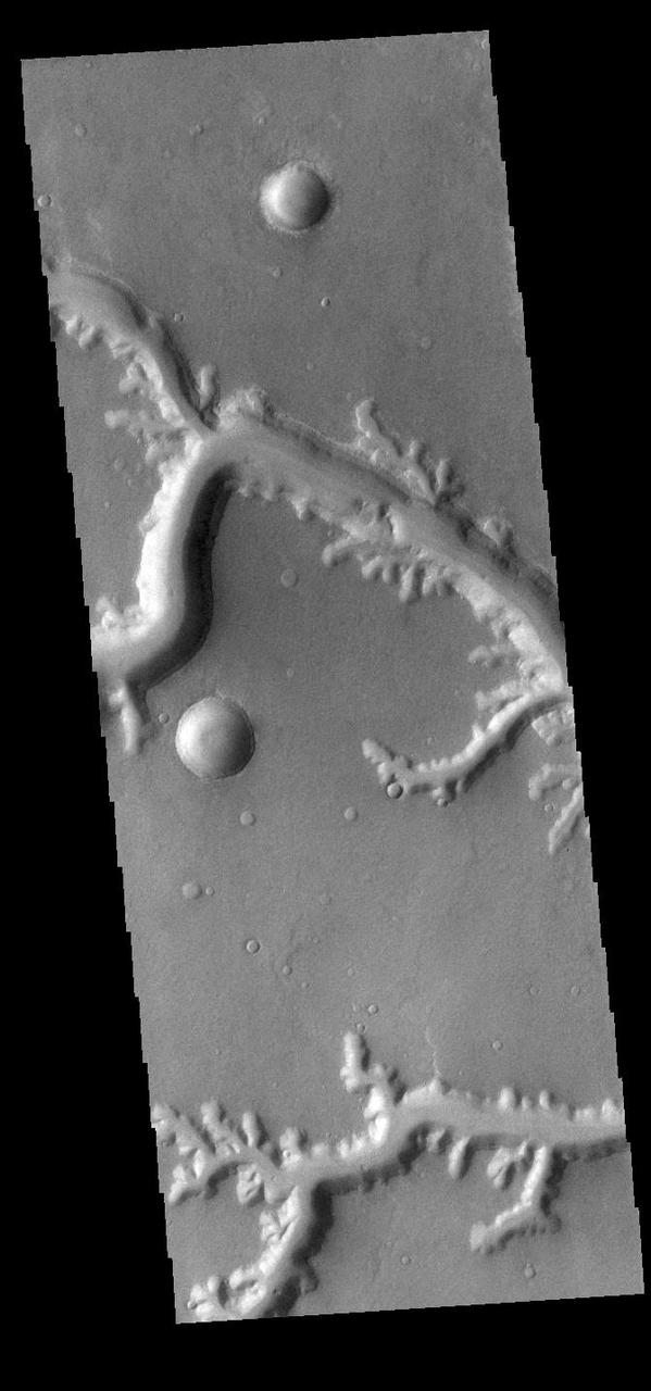 Today's VIS image shows Nirgal Vallis and several of its tributary channels. Located in Noachis Terra, Nirgal Valles is 610km long (379 miles). Orbit Number: 90895 Latitude: -27.1183 Longitude: 317 Instrument: VIS Captured: 2022-06-11 14:16 https://photojournal.jpl.nasa.gov/catalog/PIA25511