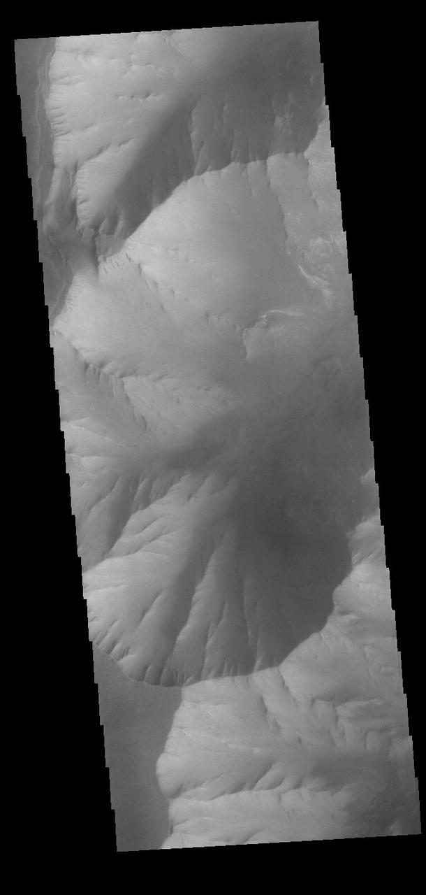 This VIS image shows part of the southwestern cliffside of Melas Chasma. Melas Chasma is part of the largest canyon system on Mars, Valles Marineris. At only 563 km long (349 miles) it is not the longest canyon, but it is the widest. Located in the center of Valles Marineris, it has depths up to 9 km below the surrounding plains, and is the location of many large landslide deposits, as will as layered materials and sand dunes. There is evidence of both water and wind action as modes of formation for many of the interior deposits.  Orbit Number: 90921 Latitude: -11.3343 Longitude: 284.714 Instrument: VIS Captured: 2022-06-13 17:44  https://photojournal.jpl.nasa.gov/catalog/PIA25519