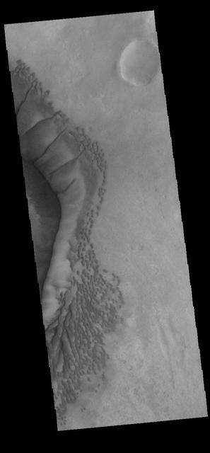 NASA image: Russell Crater Dunes