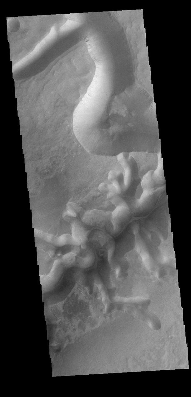 This VIS image shows one of the mega-gullies that empties into Echus Chasma. Echus Chasma is approximately 4km deep in this region, and is the source of Kasei Valles. Orbit Number: 91021 Latitude: 0.839415 Longitude: 278.09 Instrument: VIS Captured: 2022-06-21 23:25 https://photojournal.jpl.nasa.gov/catalog/PIA25539