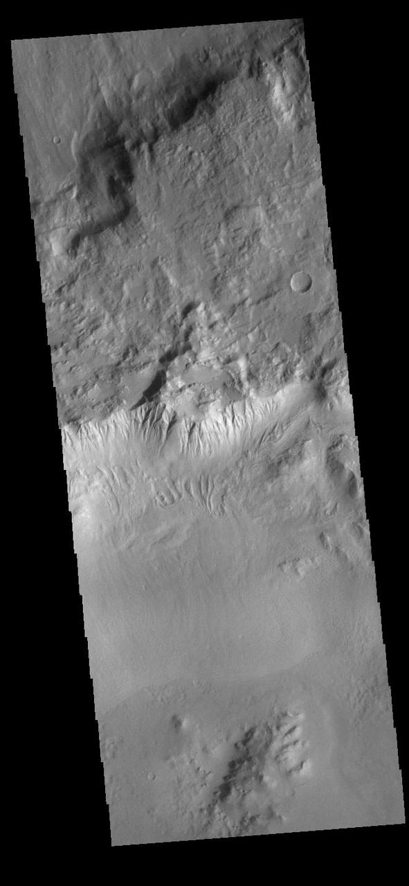 This VIS image shows part of the rim of an unnamed crater in Terra Sirenum. A group of channels dissect the rim in the center of the image. These channels are called gullies due to being on a steep slope rather than a flat river plain. In some images it is possible to see a boundary layer between the upper incised gully and a lower deposition region. The boundary marks a change in slope, the steep upper portion supports fast moving fluid that carves into the rim eroding materials. The change to a flatter slope causes the fluid to slow down and as it slows the materials carried by the fluid are deposited. Orbit Number: 91136 Latitude: -43.5736 Longitude: 206.861 Instrument: VIS Captured: 2022-07-01 10:26 https://photojournal.jpl.nasa.gov/catalog/PIA25542