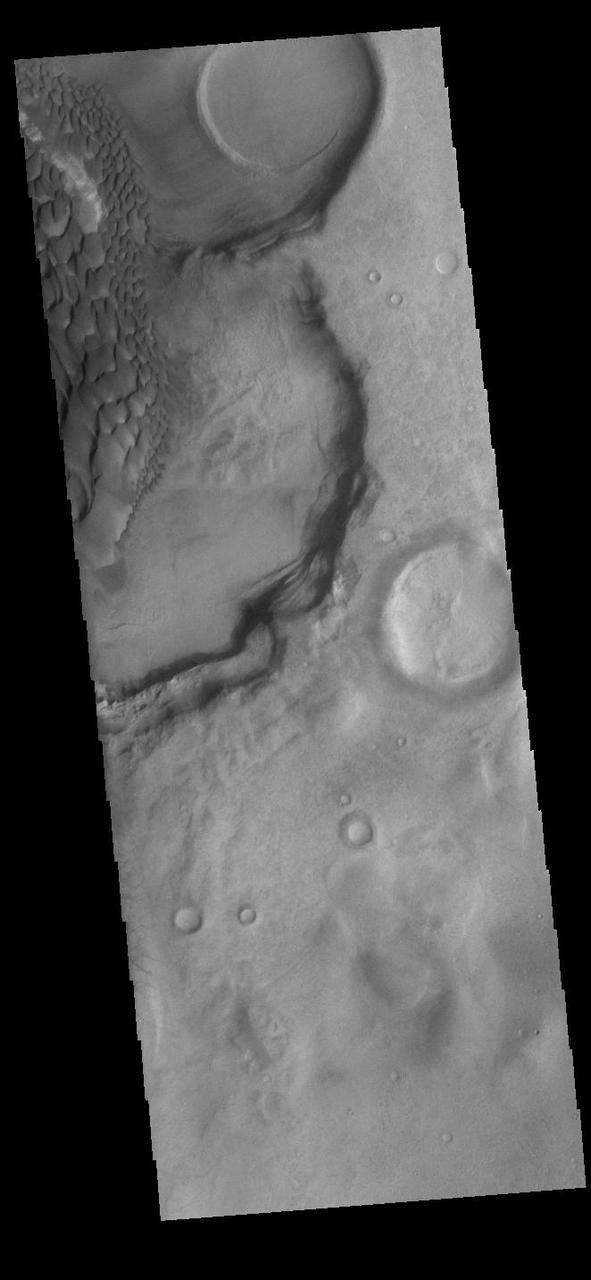 Today's VIS image shows part of the floor of Rabe Crater. Located in Noachis Terra, Rabe Crater is 108 km (67 miles) across. Dunes cover only the very upper left of this image of Rabe Crater. The sand is likely derived by erosion into the deposit that fills most of the crater floor, creating a pit which hosts the dunes. The lower elevations at the top of this image are the eroded pit. As the dunes are created by wind action the forms of the dunes record the wind direction. Dunes will have a long low angle component and a short high angle side. The steep side is called the slip face. The wind blows up the long side of the dune. In this VIS image the slip faces are illuminated less than the longer side. Craters of similar size as Rabe Crater often have flat floors. Rabe Crater has some areas of flat floor, but also has a large complex pit occupying a substantial part of the floor. The interior fill of the crater is thought to be layered sediments created by wind and or water action. The pit is eroded into this material. The eroded materials appear to have stayed within the crater forming sand dunes. Several other craters in this region have complex floors with pits. Orbit Number: 91404 Latitude: -43.8048 Longitude: 35.2382 Instrument: VIS Captured: 2022-07-23 12:03 https://photojournal.jpl.nasa.gov/catalog/PIA25547
