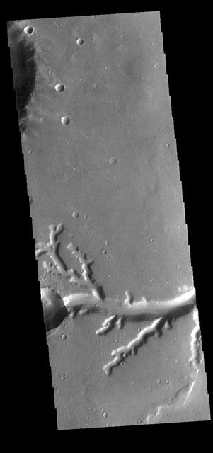 NASA image: Nirgal Vallis