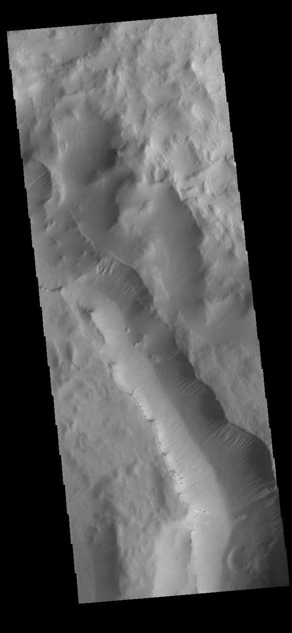 One of the most interesting features of Maunder Crater is the large trough seen in this image. The floor of Maunder Crater has been filled by a significant amount of material. At some time after the filling event, the large trough developed. The depression is located on the east side of the crater and parallels the crater rim. How and why the trough came to be is unknown. Orbit Number: 91505 Latitude: -49.2071 Longitude: 2.39522 Instrument: VIS Captured: 2022-07-31 19:36 https://photojournal.jpl.nasa.gov/catalog/PIA25575