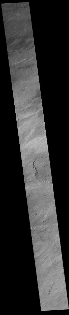 Today's VIS image shows a small portion of the immense lava flows that originated from Arsia Mons. Arsia Mons is the southernmost of the three large aligned volcanoes in the Tharsis region. Arsia Mons' last eruption was 10s of million years ago. The different surface textures are created by differences in the lava viscosity and cooling rates. The lobate margins of each flow can be traced back to the start of each flow — or to the point where they are covered by younger flows. Flows in Daedalia Planum can be as long as 180 km (111 miles). For comparison the longest Hawaiian lava flow is only 51 km (˜31 miles) long. The total area of Daedalia Planum is 2.9 million square km – more than four times the size of Texas. Orbit Number: 91422 Latitude: -13.8077 Longitude: 231.424 Instrument: VIS Captured: 2022-07-24 23:46 https://photojournal.jpl.nasa.gov/catalog/PIA25579