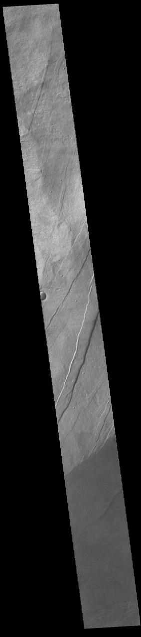 The three large aligned Tharsis volcanoes are Arsia Mons, Pavonis Mons and Ascreaus Mons (from south to north). There are collapse features on all three volcanoes, on the southwestern and northeastern flanks. This alignment may indicate a large fracture/vent system was responsible for the eruptions that formed all three volcanoes. This VIS image shows part of the southern flank of Arsia Mons. The linear features are graben. Arsia Mons is the southernmost of the Tharsis volcanoes. It is 270 miles (450km) in diameter, almost 12 miles (20km) high, and the summit caldera is 72 miles (120km) wide. For comparison, the largest volcano on Earth is Mauna Loa. From its base on the sea floor, Mauna Loa measures only 6.3 miles high and 75 miles in diameter. A large volcanic crater known as a caldera is located at the summit of all of the Tharsis volcanoes. These calderas are produced by massive volcanic explosions and collapse. The Arsia Mons summit caldera is larger than many volcanoes on Earth.  Orbit Number: 91484 Latitude: -10.1537 Longitude: 242.255 Instrument: VIS Captured: 2022-07-30 02:19  https://photojournal.jpl.nasa.gov/catalog/PIA25603