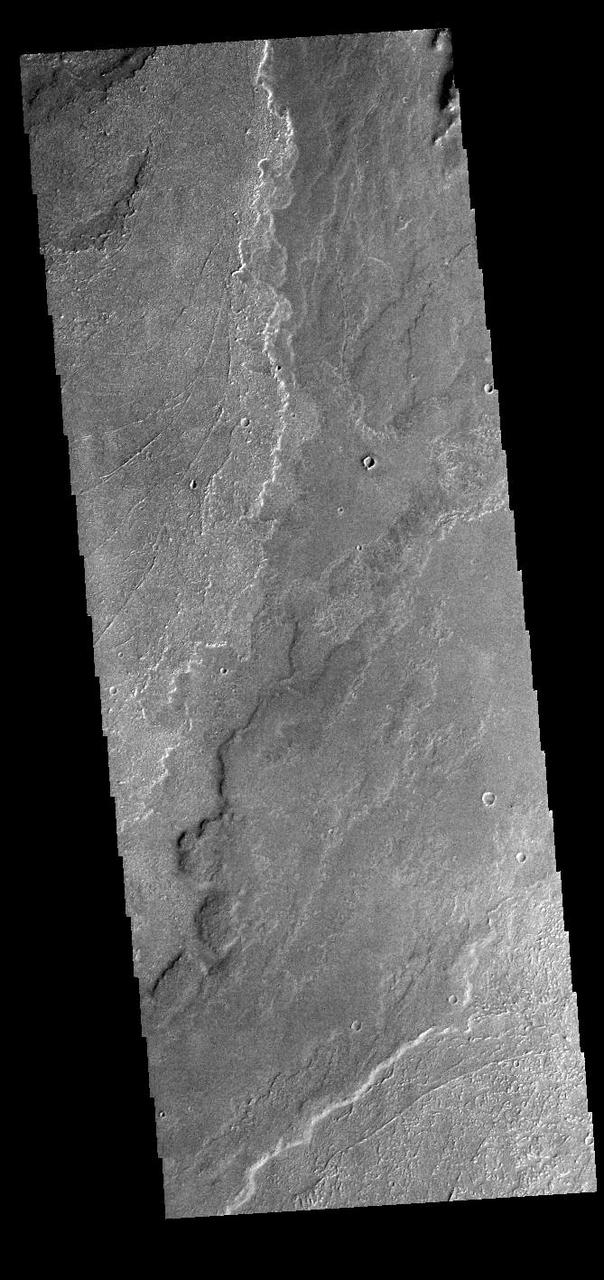 Today's VIS image shows a small portion of the immense lava flows that originated from Arsia Mons. Arsia Mons is the southernmost of the three large aligned volcanoes in the Tharsis region. Arsia Mons' last eruption was 10s of million years ago. The different surface textures are created by differences in the lava viscosity and cooling rates. The lobate margins of each flow can be traced back to the start of each flow — or to the point where they are covered by younger flows. Flows in Daedalia Planum can be as long as 180 km (111 miles). For comparison the longest Hawaiian lava flow is only 51 km (˜31 miles) long. The total area of Daedalia Planum is 2.9 million square km – more than four times the size of Texas. Orbit Number: 91584 Latitude: -23.3958 Longitude: 239.081 Instrument: VIS Captured: 2022-08-07 07:52 https://photojournal.jpl.nasa.gov/catalog/PIA25608