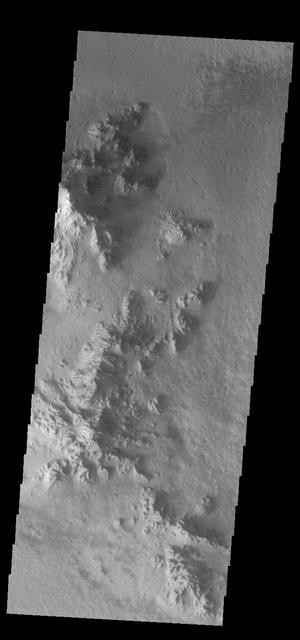 NASA image: Hale Crater