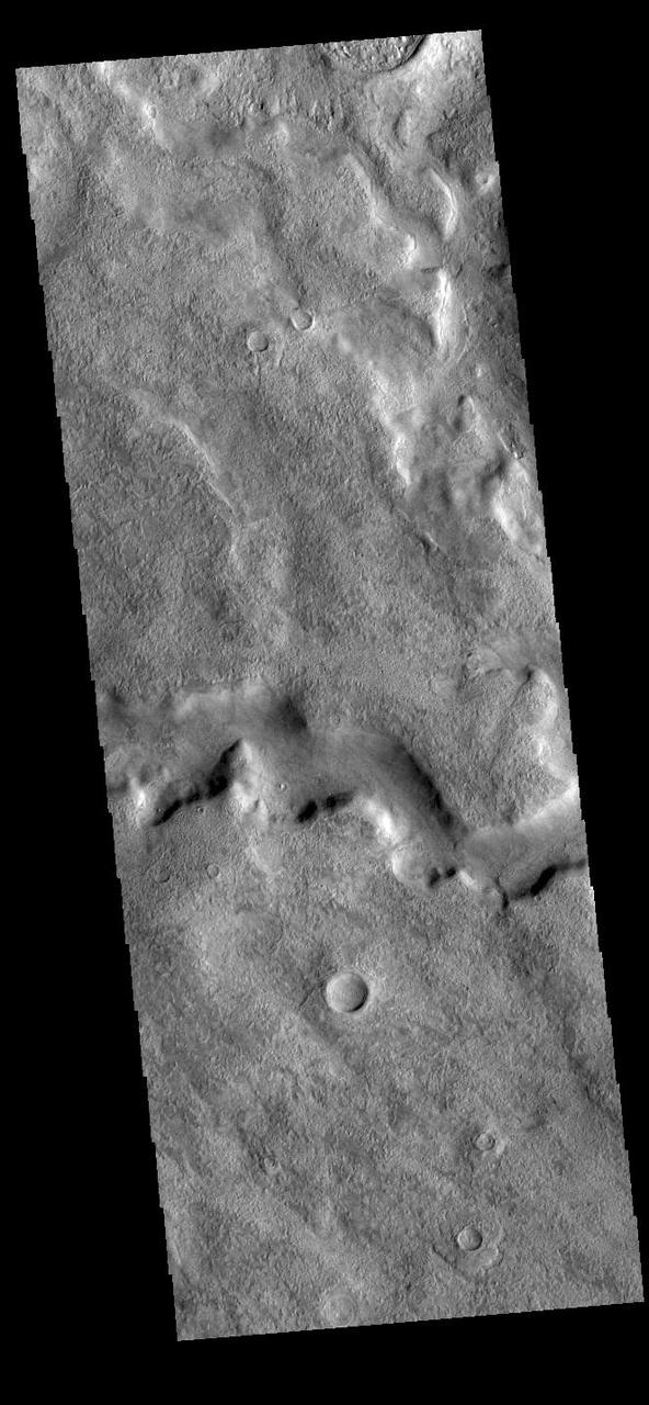 Today's VIS image shows a section of Tader Valles located in Terra Sirenum. Tader Valles is 200 km long (124 miles).  Orbit Number: 91735 Latitude: -48.4634 Longitude: 206.888 Instrument: VIS Captured: 2022-08-19 18:08  https://photojournal.jpl.nasa.gov/catalog/PIA25631