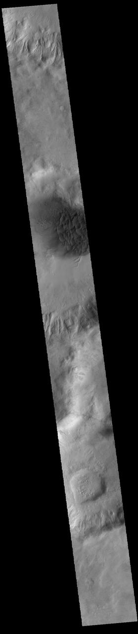 This VIS image shows a large sand sheet with surface dune forms as well as smaller sand dunes within an unnamed crater in Noachis Terra. These dunes are composed of basaltic sand that has collected in the bottom of the crater. The topographic depression of the crater forms a sand trap that prevents the sand from escaping. Dune fields are common in the bottoms of craters on Mars and appear as dark splotches that often lean up against the downwind walls of the craters. Dunes are useful for studying both the geology and meteorology of Mars. The sand forms by erosion of larger rocks, but it is unclear when and where this erosion took place on Mars or how such large volumes of sand could be formed. The dunes also indicate the local wind directions by their morphology. Orbit Number: 91741 Latitude: -49.2207 Longitude: 33.9713 Instrument: VIS Captured: 2022-08-20 05:58 https://photojournal.jpl.nasa.gov/catalog/PIA25632