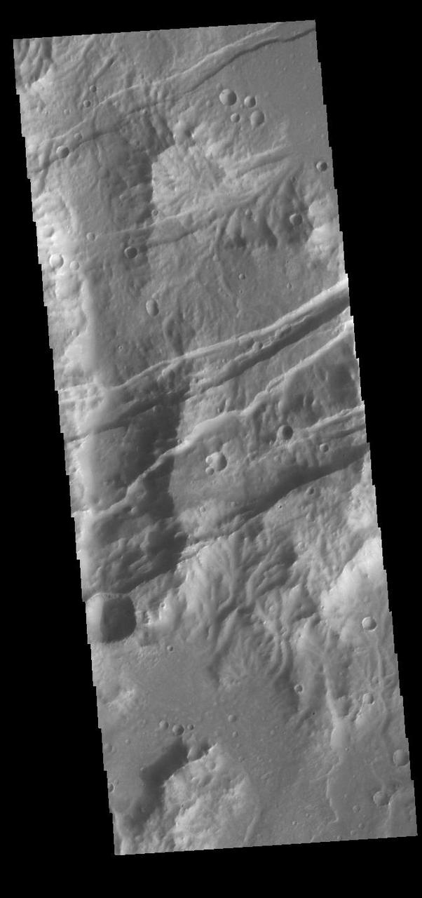 The linear features in this VIS image are tectonic graben. These graben are called Sirenum Fossae. Graben are formed by extension of the crust and faulting. When large amounts of pressure or tension are applied to rocks on timescales that are fast enough that the rock cannot respond by deforming, the rock breaks along faults. In the case of a graben, two parallel faults are formed by extension of the crust and the rock in between the faults drops downward into the space created by the extension. Several graben are visible in this THEMIS VIS image, trending from east to west. Because the faults defining the graben are formed parallel to the direction of the applied stress, we know that extensional forces were pulling the crust apart in the north/south direction. The majority of the stresses that created Sirenum Fossae are aligned in the in a north-northwest to south-southeast direction. The Sirenum Fossae graben are 2735km (1700 miles) long. Orbit Number: 91772 Latitude: -27.9695 Longitude: 216.058 Instrument: VIS Captured: 2022-08-22 19:21 https://photojournal.jpl.nasa.gov/catalog/PIA25642
