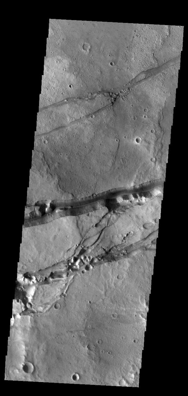 Today's VIS image shows a portion of Sirenum Fossae. The linear features are tectonic graben. Graben are formed by extension of the crust and faulting. When large amounts of pressure or tension are applied to rocks on timescales that are fast enough that the rock cannot respond by deforming, the rock breaks along faults. In the case of a graben, two parallel faults are formed by extension of the crust and the rock in between the faults drops downward into the space created by the extension. Numerous sets of graben are visible in this THEMIS image, trending from north-northeast to south-southwest. Because the faults defining the graben are formed perpendicular to the direction of the applied stress, we know that extensional forces were pulling the crust apart in the west-northwest/east-southeast direction. The Sirenum Fossae graben are 2735km (1700 miles) long and stretch from eastern Terra Sirenum into western Daedalia Planum. Orbit Number: 91816 Latitude: -29.2208 Longitude: 213.139 Instrument: VIS Captured: 2022-08-26 09:39 https://photojournal.jpl.nasa.gov/catalog/PIA25645
