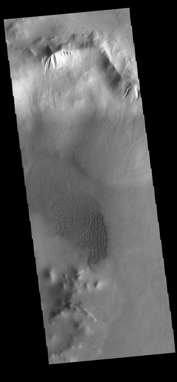 Today's VIS image shows part of an unnamed crater in Aonia Terra. At the top of the image numerous gullies dissect the crater rim. These channels are called gullies due to being on a steep slope rather than a flat river plain. In some images it is possible to see a boundary layer between the upper incised gully and a lower deposition region. The boundary marks a change in slope, the steep upper portion supports fast moving fluid that carves into the rim, eroding materials. The change to a flatter slope causes the fluid to slow down and as it slows the materials carried by the fluid are deposited. Sand dunes cover part of the crater floor. Orbit Number: 91821 Latitude: -52.412 Longitude: 246.698 Instrument: VIS Captured: 2022-08-26 20:03 https://photojournal.jpl.nasa.gov/catalog/PIA25648