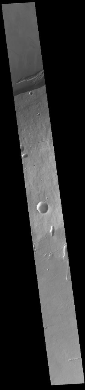 The three large aligned Tharsis volcanoes are Arsia Mons, Pavonis Mons and Ascreaus Mons (from south to north). There are collapse features on all three volcanoes, on the southwestern and northeastern flanks. This alignment may indicate a large fracture/vent system was responsible for the eruptions that formed all three volcanoes. This VIS image shows cross section from the summit caldera to the plains near the southern flank of Arsia Mons. Arsia Mons is 270 miles (450km) in diameter, almost 12 miles (20km) high, and the summit caldera is 72 miles (120km) wide. For comparison, the largest volcano on Earth is Mauna Loa. From its base on the sea floor, Mauna Loa measures only 6.3 (10km) miles high and 75 miles (120km) in diameter. A large volcanic crater known as a caldera is located at the summit of all of the Tharsis volcanoes. These calderas are produced by massive volcanic explosions and collapse. The Arsia Mons summit caldera is larger than many volcanoes on Earth. Orbit Number: 91821 Latitude: -11.0315 Longitude: 240.053 Instrument: VIS Captured: 2022-08-26 20:16 https://photojournal.jpl.nasa.gov/catalog/PIA25649