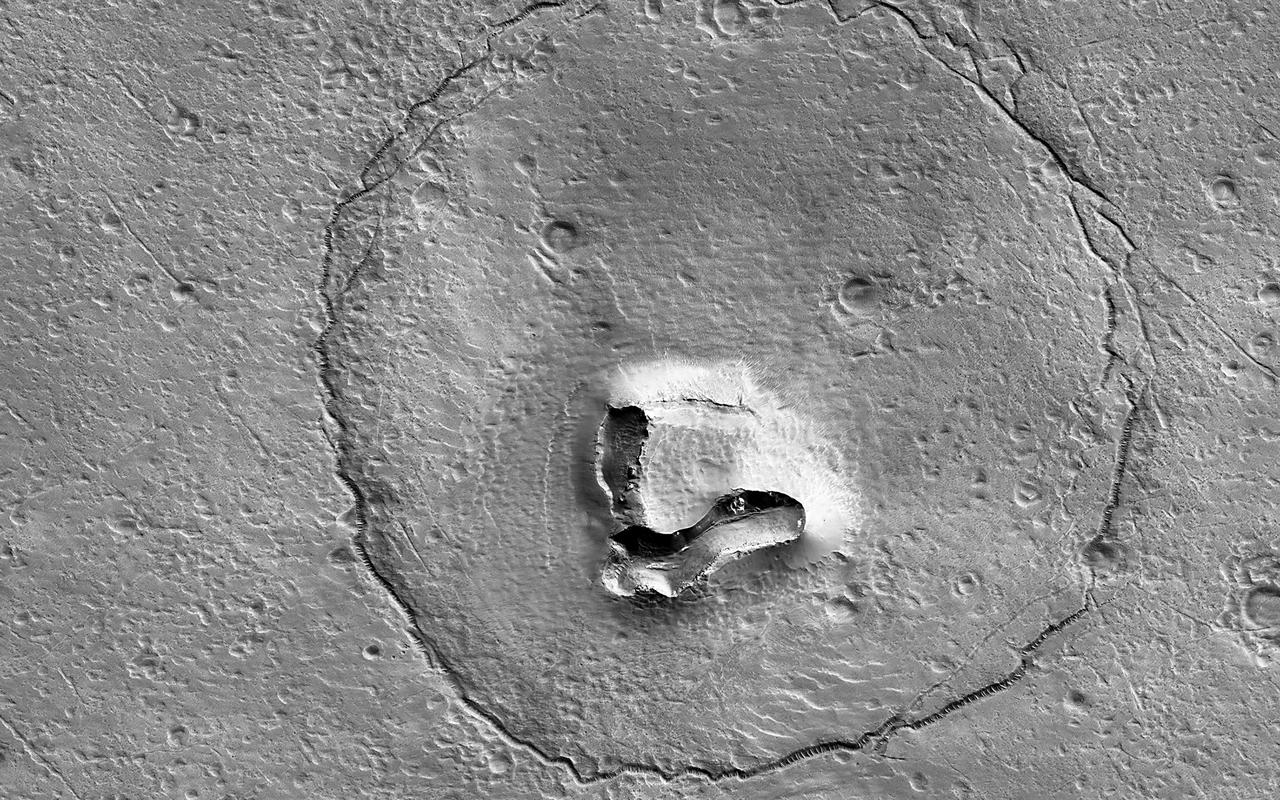 This feature looks a bit like a bear's face. What is it really? There's a hill with a V-shaped collapse structure (the nose), two craters (the eyes), and a circular fracture pattern (the head). The circular fracture pattern might be due to the settling of a deposit over a buried impact crater. Maybe the nose is a volcanic or mud vent and the deposit could be lava or mud flows? Maybe just grin and bear it. https://photojournal.jpl.nasa.gov/catalog/PIA25709