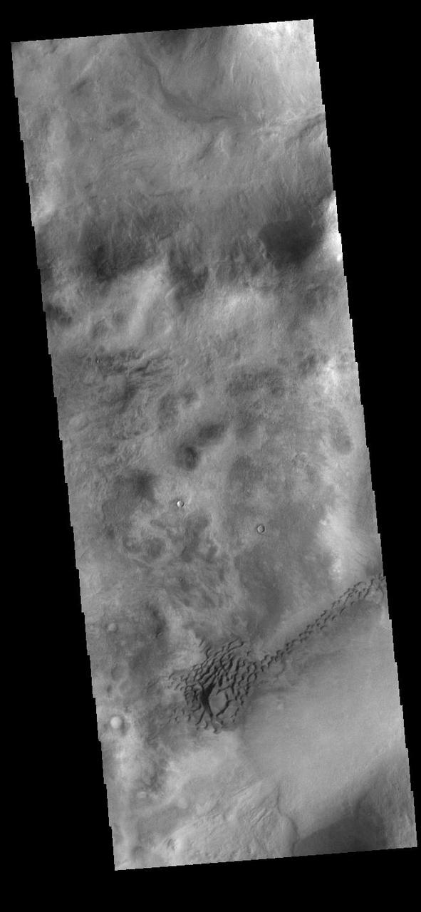 While many regions of sand dunes on Mars are located on the floors of impact craters, dune fields can form in any region where sand can be trapped. In this case, the sand dunes have formed in a depression in the Nereidum Montes region north of Argyre Planitia. Orbit Number: 92006 Latitude: -43.7748 Longitude: 307.763 Instrument: VIS Captured: 2022-09-11 01:41 https://photojournal.jpl.nasa.gov/catalog/PIA25718