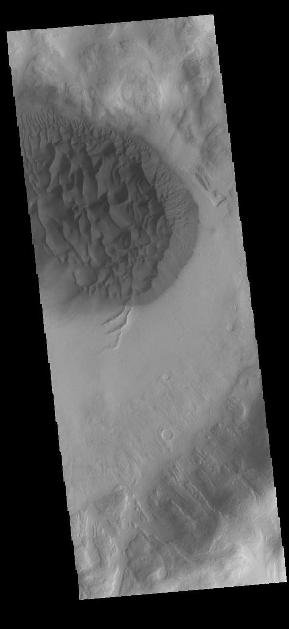 This VIS image shows a large sand sheet with surface dune forms as well as smaller sand dunes within an unnamed crater in Noachis Terra. These dunes are composed of basaltic sand that has collected in the bottom of the crater. The topographic depression of the crater forms a sand trap that prevents the sand from escaping. Dune fields are common in the bottoms of craters on Mars and appear as dark splotches that often lean up against the downwind walls of the craters. Dunes are useful for studying both the geology and meteorology of Mars. The sand forms by erosion of larger rocks, but it is unclear when and where this erosion took place on Mars or how such large volumes of sand could be formed. The dunes also indicate the local wind directions by their morphology. Orbit Number: 92028 Latitude: -48.9171 Longitude: 34.0952 Instrument: VIS Captured: 2022-09-12 21:08 https://photojournal.jpl.nasa.gov/catalog/PIA25742